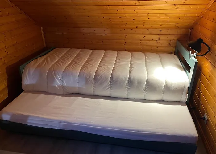 Le Des Pins La Teste-de-Buch