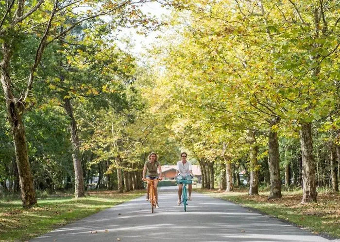 Campingplatz Le Des Pins *